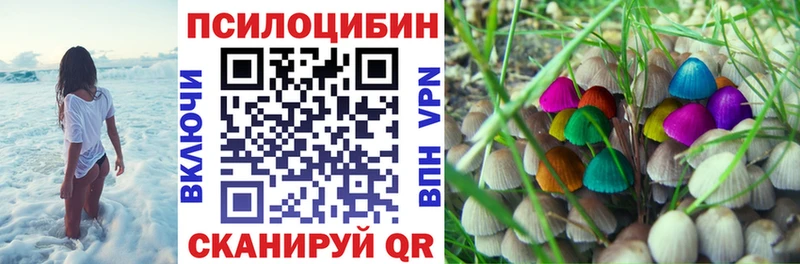 блэк спрут сайт  Саров  Галлюциногенные грибы Cubensis 